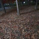 세교동 사거리 이미지