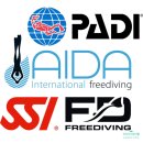 프리다이빙 AIDA SSI PADI 단체, 강사선택방법