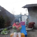 광재농산 네이버블로그