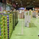 대구청과시장 이미지