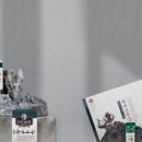 죽마고우식품 네이버블로그
