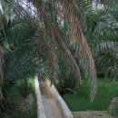 세계문화유산(173)/ 오만 / 아플라즈 관개 시설 유적지(Aflaj Irrigation Systems of Oman; 2006) 이미지