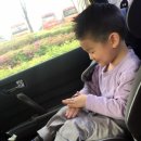 어린이대공원정문~시민안전체험관 이미지