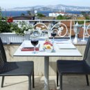 아스콧헤어 이미지