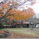 추섬민박 이미지