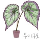 정기농약사 이미지