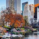 뉴욕파크 호스텔 이미지