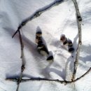 영광유치원 이미지