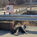 여강길(11코스 동학의길) | 2026.2.8여강길11코스동학의길