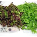 땡기는김밥