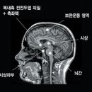 행복명상 이미지