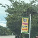 부엉이펜션 | 충북 송면계곡 신축 #괴산부엉이펜션, 큰부엉이방 단체펜션 후기