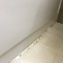 수리산힐스테이트 이미지