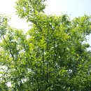 감나무골농장 이미지