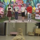 보다더동물농장 이미지