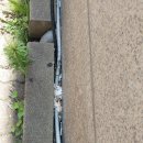 서부유도관 이미지