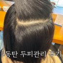 동탄카림애비뉴 | 청계동 미용실 두피관리 후기 | 준오헤어 동탄카림애비뉴점