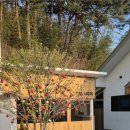 덕스테이 이미지