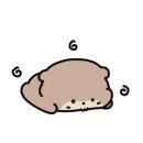 강아지톡 이미지