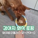멍냥스푼 | 강아지화식사료 추천｜멍냥밥상연구소 멍이밥상플러스 솔직 후기