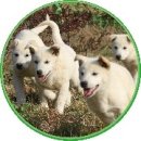 진도여라 | 「여가 진도여」이벤트 당첨자 발표