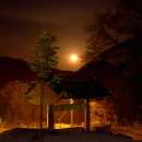 천불사 - 153424 | 천불사