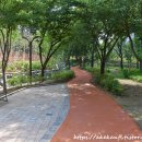 이현공원 서편 | 대구 이현공원 수국 탐방