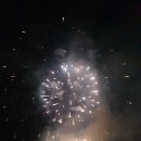 합기도 주짓수 블루드래곤 이미지