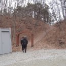 난계국악기 이미지