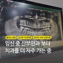 서대용치과의원 | 임신 중 치아 통증으로 치과 신경치료 후기