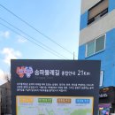 성지천 이미지