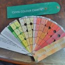 군자란 색상표Clivia color chart 공동구매 이미지