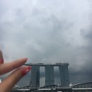 세인트의원 이미지