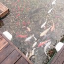 인삼랜드휴게소 이미지