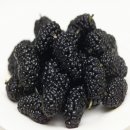 (주)오디 이미지