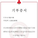 사파동195 이미지