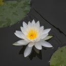 토산1리 이미지