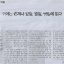 뒷집