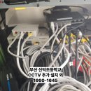 신덕초등학교 이미지
