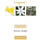 향수1길 이미지