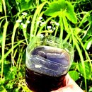 지리산벌꿀 찐아카시아꿀 / 밤 헛개꿀 / 천연벌꿀100 판매해요 이미지