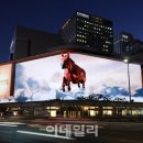 소망청과 - 목포시 차범석길 32 | 소망청과