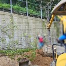 (주)수목조경 이미지