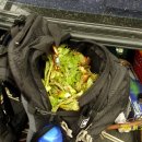 양평-용문-용문-6 이미지