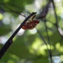 성산근린공원 이미지
