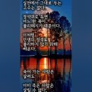 &#34;신의 한 수 같은 인생은 없다&#34; 이미지