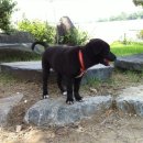 만년한우농장 이미지