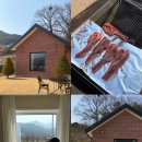 도평리도토리네