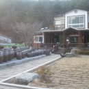 토리샘 이미지