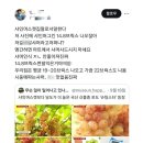 신품종 포도 '슈팅스타' 등장에 빡친 포도 농가 딸 이미지